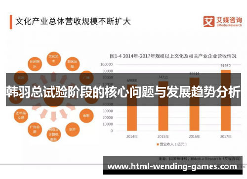 韩羽总试验阶段的核心问题与发展趋势分析