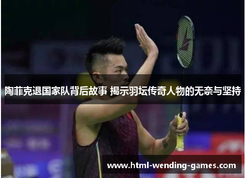 陶菲克退国家队背后故事 揭示羽坛传奇人物的无奈与坚持